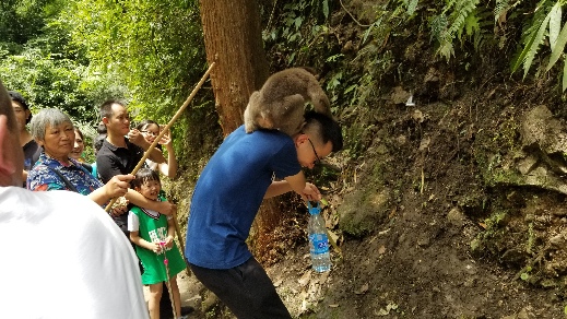 四川农业人口_四川农业大学志愿者暑期支农 调研特色农业 助力村民脱贫