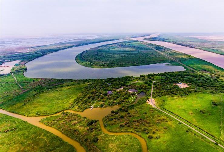 这是6月23日航拍的东营市黄河三角洲国家级自然保护区湿地景观.