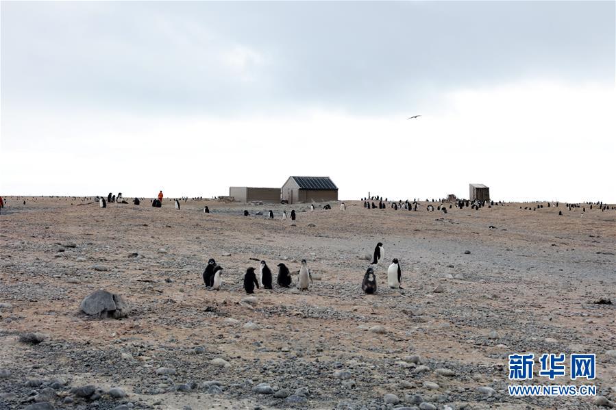 （第34次南极科考）（1）中国科考队参与修护南极历史遗迹建筑