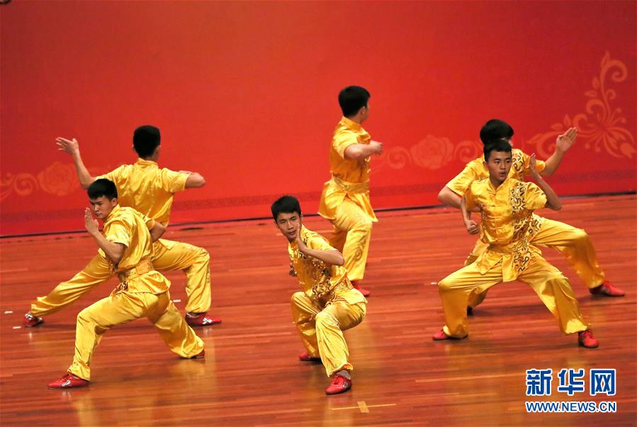 （国际）（3）“欢乐春节·精彩江苏”斯里兰卡演出引轰动