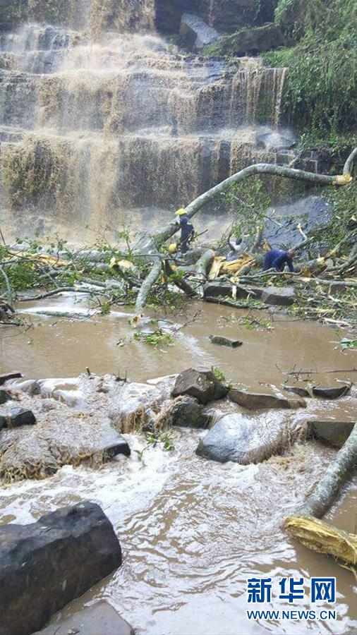 （国际）加纳一瀑布景区发生大树倒塌事故至少16人死亡