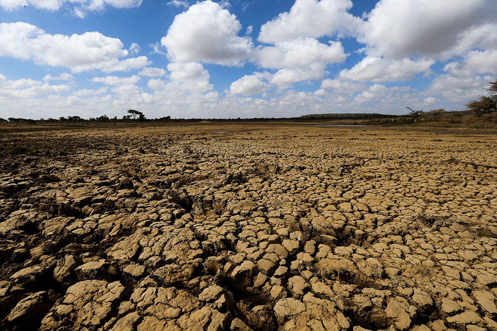 这是2017年3月1日在肯尼亚莱基皮亚郡拍摄的一处干涸的水塘。新华社记者 潘思危 摄