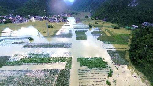 都安永安乡安化村遭洪水侵袭.