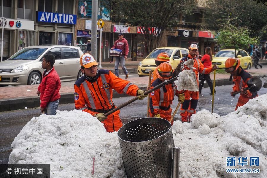 哥伦比亚首都遭遇罕见大冰雹 汪星人躺“雪堆”玩嗨了
