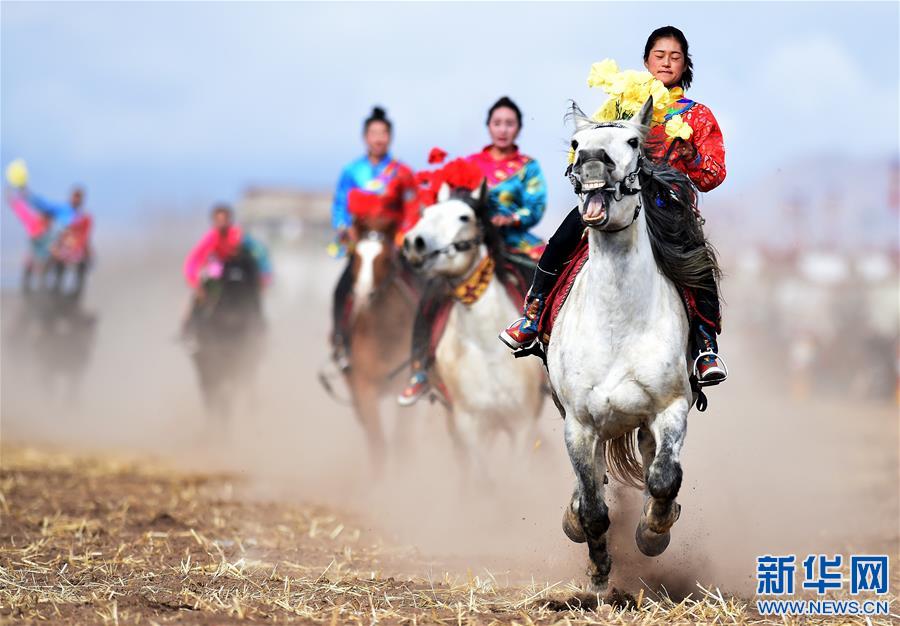 （体育）（1）乡村马术表演 把欢乐带到西藏田间地头