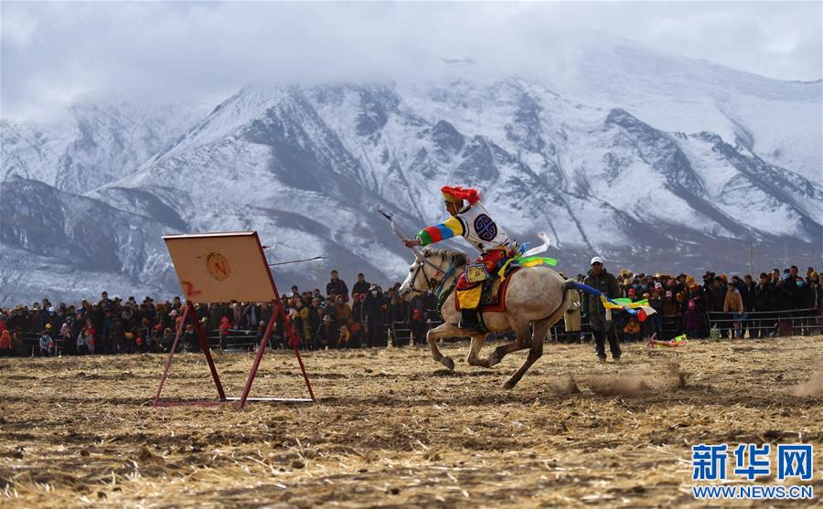 （体育）（8）乡村马术表演 把欢乐带到西藏田间地头