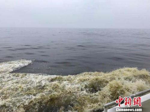 2017年中国海洋灾害直接经济损失63.98亿元