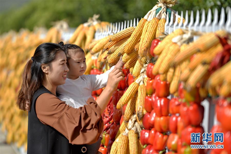（社会）（1）河北省首届“中国农民丰收节”主会场庆祝活动在沙河举行