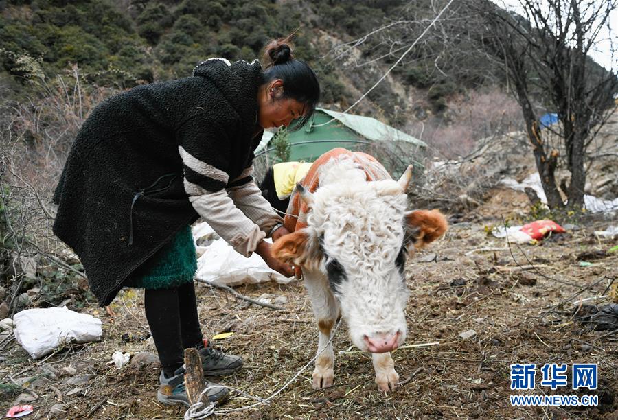 （图文互动）（4）生活物资供应充足 群众安全有保障——西藏金沙江堰塞湖安置点见闻