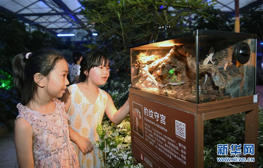 （社会）（1）北京：夏夜中探寻神奇动物
