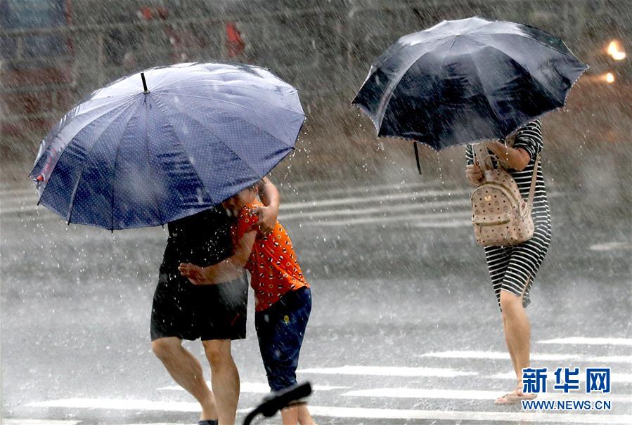 （关注“利奇马”）（5）受台风“利奇马”影响 上海发布暴雨橙色预警