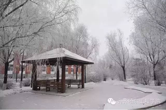 “冬季校园,谁最美”全国高校冬季校园风光展评活动结果公布!-中青在线