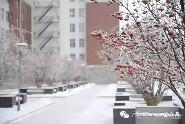 “冬季校园,谁最美”全国高校冬季校园风光展评活动结果公布!-中青在线