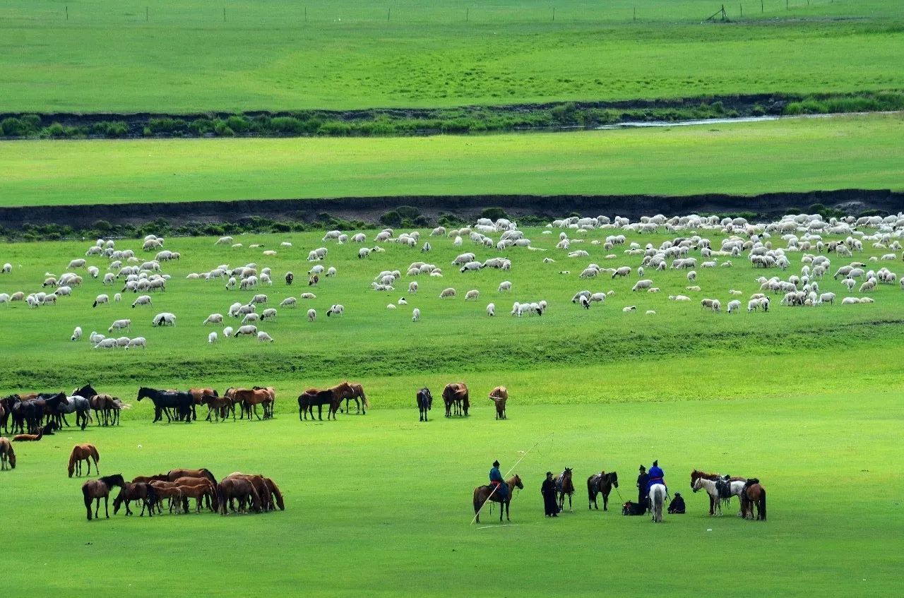 还看今朝 | 如果你觉得内蒙古只有牛、羊、马、