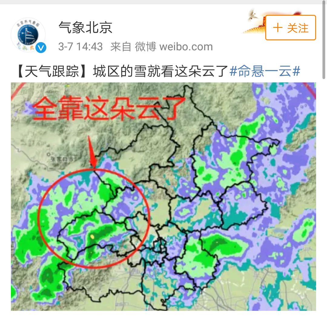 北京终于下雪啦，北京的雪为啥这么受欢迎？