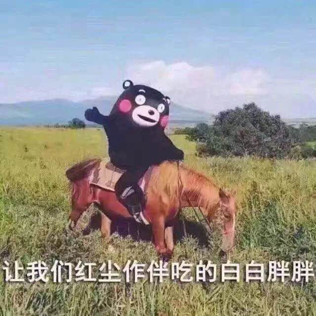 2016年度段子,你能忍住不笑吗?