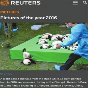 路透社2016年度图片。