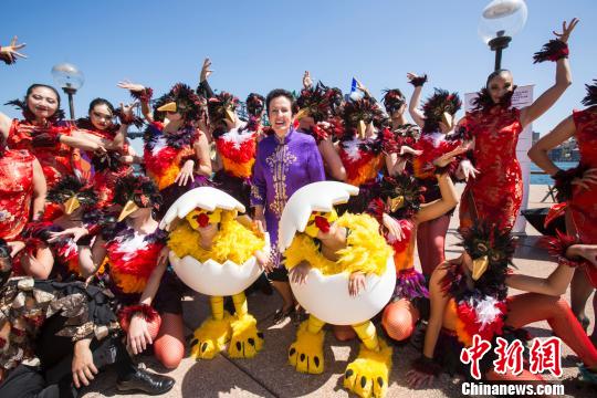 悉尼市长：中国春节已成为悉尼第三大年度盛事