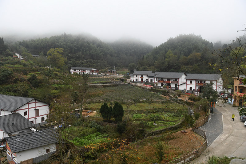 这是井冈山茅坪乡神山村的全景（2016年11月10日摄）。新华社记者 周密 摄