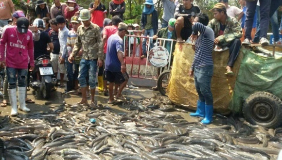 泰国鱼商街上倒鱼 抗议政府加税