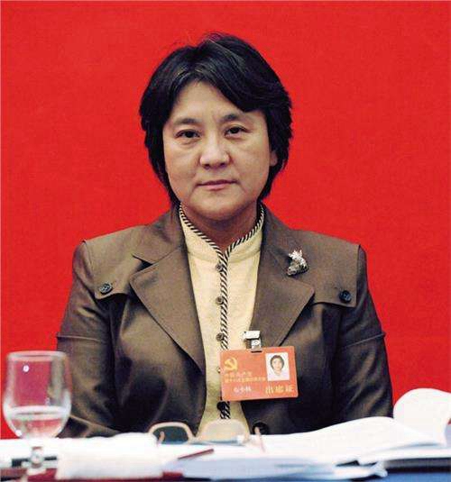 内蒙古自治区党委副书记、自治区政府主席 布小林