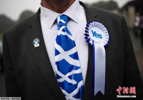 资料图：曾经的苏格兰公投中，一名男子佩戴苏格兰圣安德烈十字旗图案的领带。