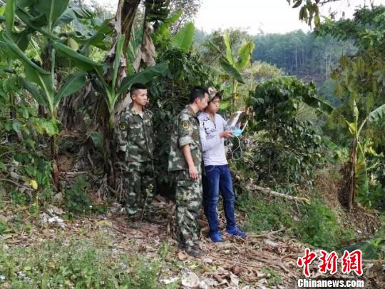云南江城用无人机24小时跟踪一受伤亚洲小象及时救助