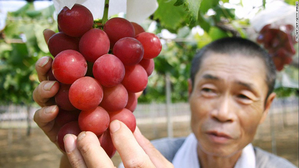 27000美元买俩哈密瓜 揭秘日本“奢侈水果”文化