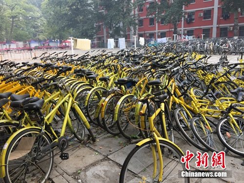 资料图。北京某所高校内的共享单车数量惊人。<a target=&apos;_blank&apos; href=&apos;http://www.chinanews.com/&apos; _fcksavedurl=&apos;http://www.chinanews.com/&apos; ></table><p align=