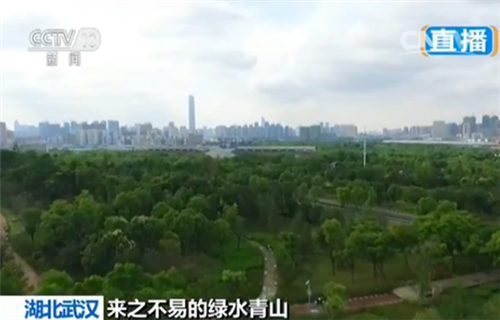 武汉城郊的园博园