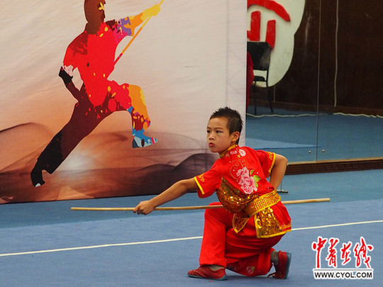 2017年全国中小学生武术锦标赛落幕