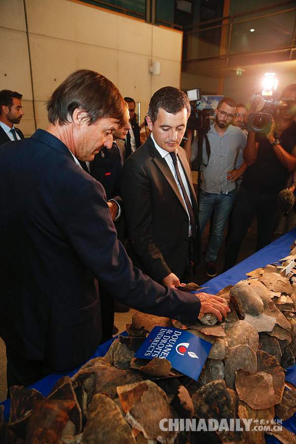 法国海关缴获496公斤走私海龟鳞片 价值约233.7万元人民币