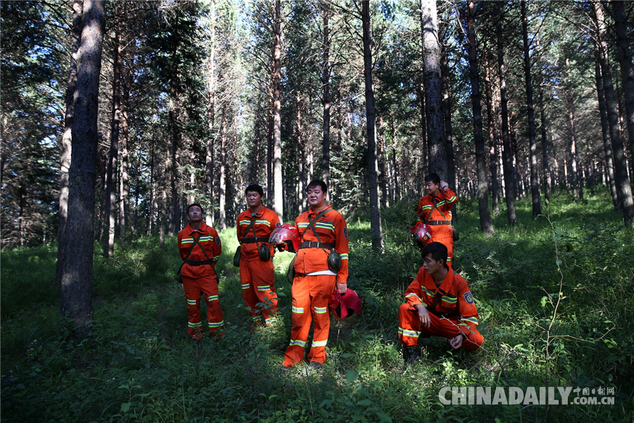 【砥砺奋进的五年·绿色发展】塞罕坝系列报道之一：三代护林员造就的重生之美