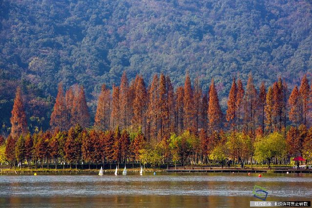 2016年12月17日，浙江省杭州市，湘湖以风景秀丽而被誉为西湖的_姐妹湖_。