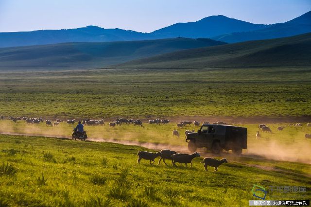 2017年7月17日，内蒙古大草原，夏季风光美如画。