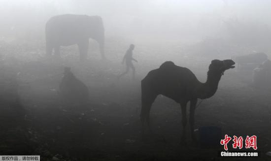当地时间2016年12月8日，印度新德里雾霾天气持续，能见度低。