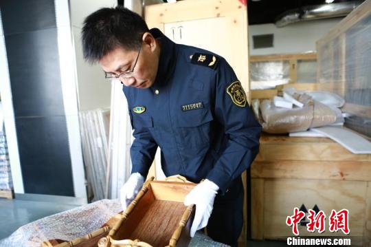 上海口岸首次从进境参展艺术品中截获检疫性有害生物