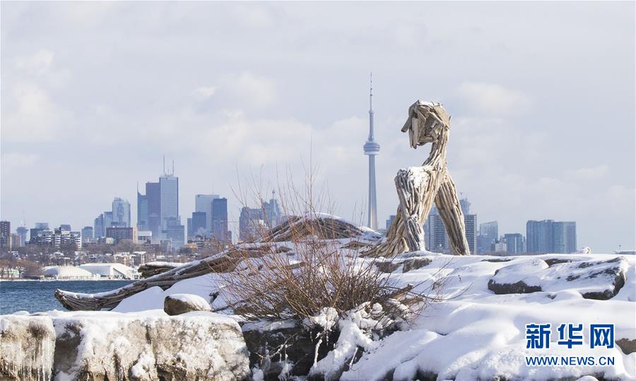 （国际）（5）加拿大多伦多遭遇强降雪