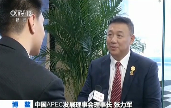 中国APEC发展理事会理事长 张力军