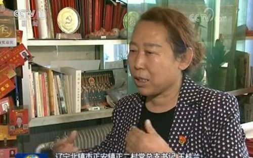 【最美基层干部】王桂兰:把青春献给生我养我的土地