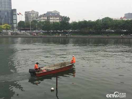 工作人员在“三岔口”打捞河里的漂浮物（摄\记者徐辉）
