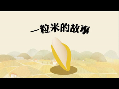 一粒米的故事