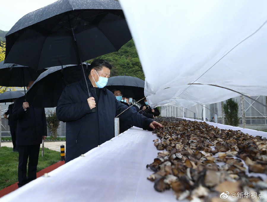 正在陕西考察的20日下午来到柞水县小岭镇金米村.