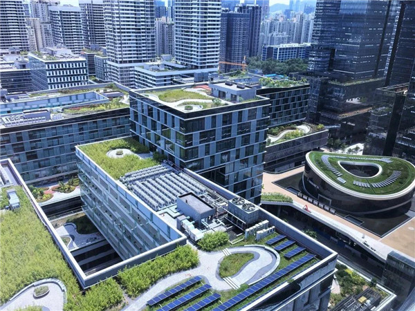 深圳高新技术产业园奋力奔跑的深圳,也有一份闲适所在.