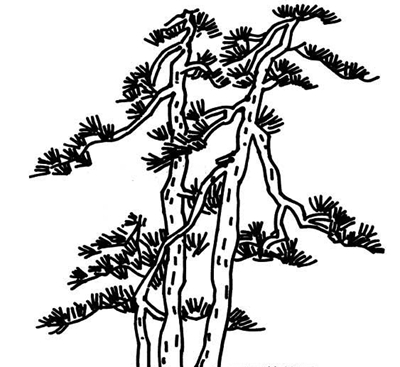 ai古松整理内容，真能解决大问题？-第2张图片-正海烽科技 - 领先的只能推广行业，智能制造解决方案提供商