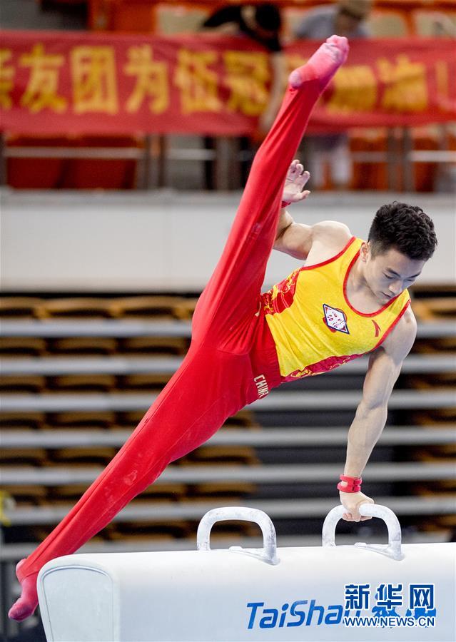 （体育）（2）体操——全国锦标赛男子鞍马：邹敬园夺冠