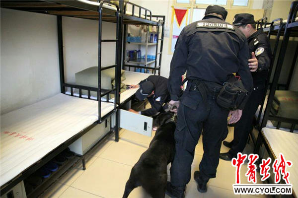 安徽蚌埠强制隔离戒毒所使用警犬提升安防实战能力