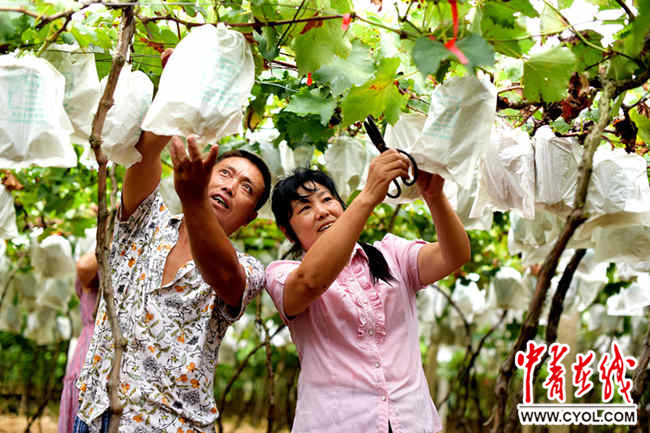 首届中国农民丰收节湖北主会场庆祝活动开幕