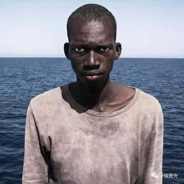 入选肖像比赛的非人类照片