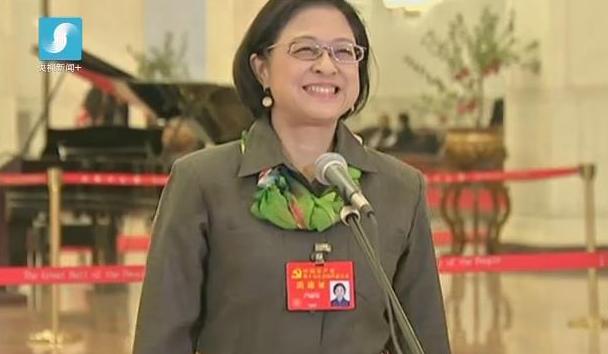 2017感动中国十大人物 卢丽安—爱国爱乡的台湾籍党代表